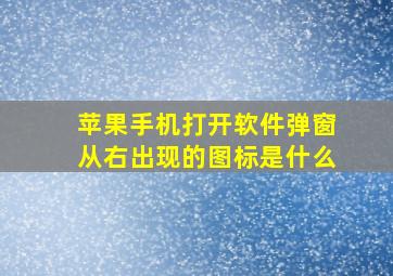 苹果手机打开软件弹窗从右出现的图标是什么