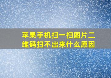 苹果手机扫一扫图片二维码扫不出来什么原因