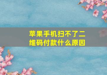 苹果手机扫不了二维码付款什么原因