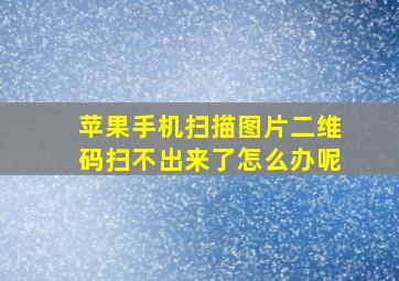 苹果手机扫描图片二维码扫不出来了怎么办呢