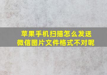 苹果手机扫描怎么发送微信图片文件格式不对呢