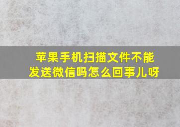 苹果手机扫描文件不能发送微信吗怎么回事儿呀