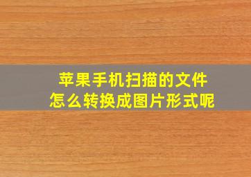 苹果手机扫描的文件怎么转换成图片形式呢