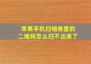 苹果手机扫相册里的二维码怎么扫不出来了