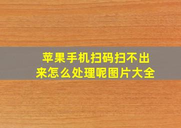 苹果手机扫码扫不出来怎么处理呢图片大全