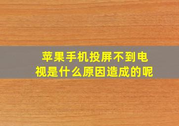 苹果手机投屏不到电视是什么原因造成的呢