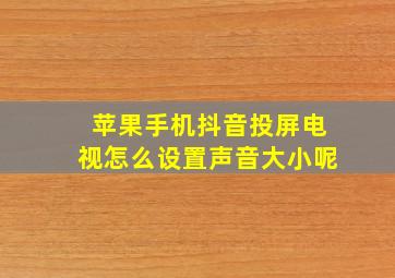 苹果手机抖音投屏电视怎么设置声音大小呢