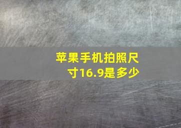 苹果手机拍照尺寸16.9是多少