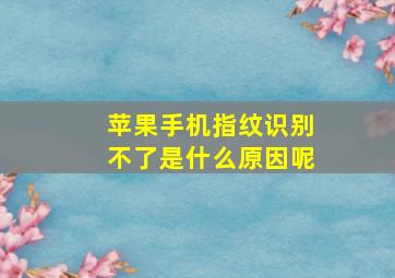 苹果手机指纹识别不了是什么原因呢