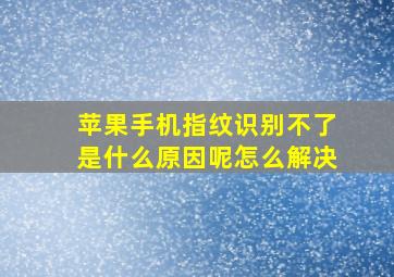 苹果手机指纹识别不了是什么原因呢怎么解决