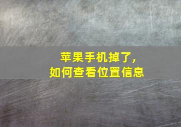 苹果手机掉了,如何查看位置信息