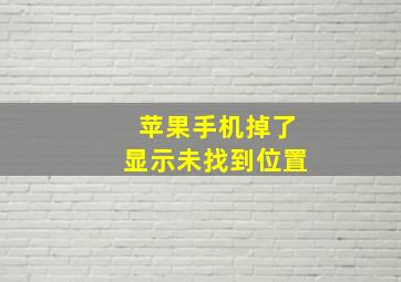 苹果手机掉了显示未找到位置