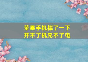 苹果手机摔了一下开不了机充不了电