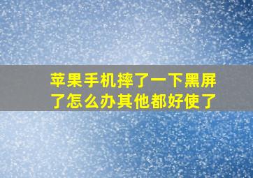 苹果手机摔了一下黑屏了怎么办其他都好使了