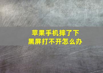 苹果手机摔了下黑屏打不开怎么办