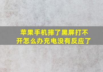 苹果手机摔了黑屏打不开怎么办充电没有反应了