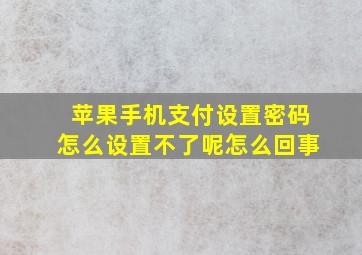 苹果手机支付设置密码怎么设置不了呢怎么回事