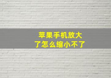 苹果手机放大了怎么缩小不了