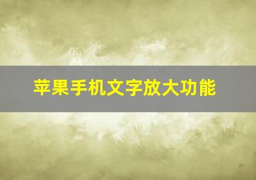 苹果手机文字放大功能