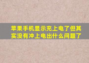 苹果手机显示充上电了但其实没有冲上电出什么问题了