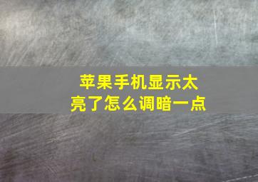 苹果手机显示太亮了怎么调暗一点