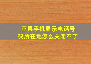 苹果手机显示电话号码所在地怎么关闭不了