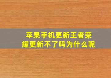 苹果手机更新王者荣耀更新不了吗为什么呢