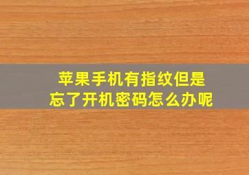 苹果手机有指纹但是忘了开机密码怎么办呢