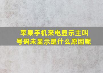 苹果手机来电显示主叫号码未显示是什么原因呢