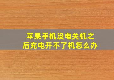 苹果手机没电关机之后充电开不了机怎么办