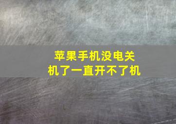 苹果手机没电关机了一直开不了机