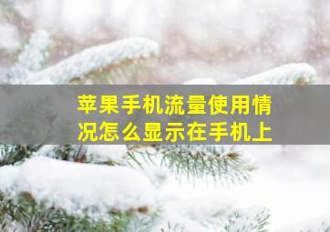 苹果手机流量使用情况怎么显示在手机上