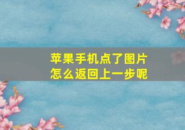 苹果手机点了图片怎么返回上一步呢