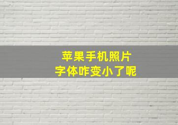 苹果手机照片字体咋变小了呢