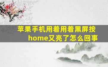 苹果手机用着用着黑屏按home又亮了怎么回事