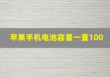 苹果手机电池容量一直100