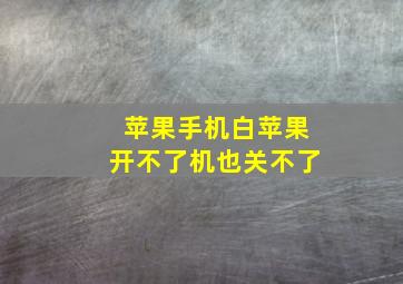 苹果手机白苹果开不了机也关不了