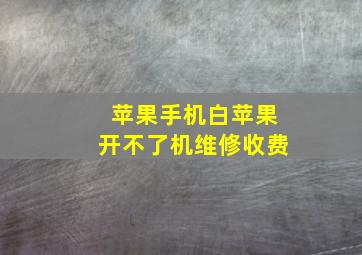 苹果手机白苹果开不了机维修收费