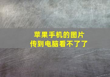 苹果手机的图片传到电脑看不了了