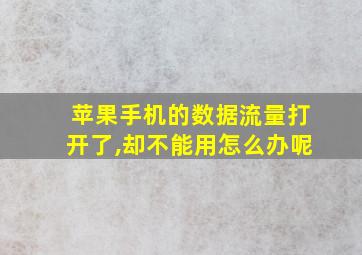 苹果手机的数据流量打开了,却不能用怎么办呢