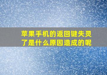 苹果手机的返回键失灵了是什么原因造成的呢