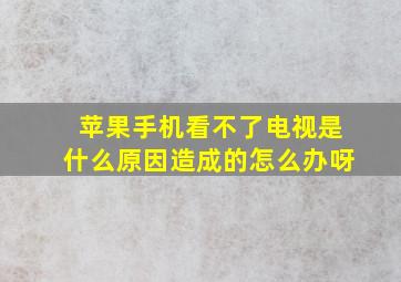 苹果手机看不了电视是什么原因造成的怎么办呀