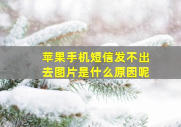 苹果手机短信发不出去图片是什么原因呢