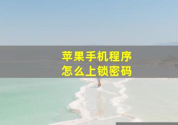 苹果手机程序怎么上锁密码