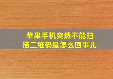 苹果手机突然不能扫描二维码是怎么回事儿