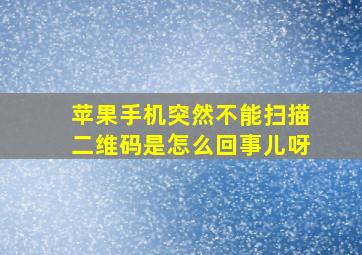 苹果手机突然不能扫描二维码是怎么回事儿呀