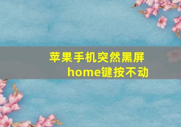 苹果手机突然黑屏home键按不动