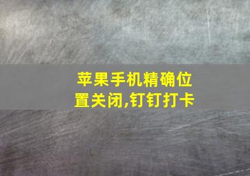 苹果手机精确位置关闭,钉钉打卡