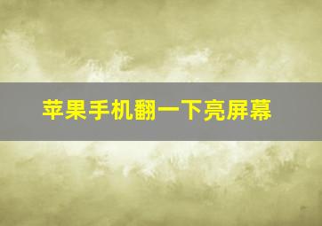 苹果手机翻一下亮屏幕