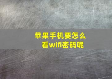 苹果手机要怎么看wifi密码呢